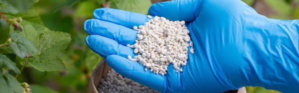 Insumos fertilizantes